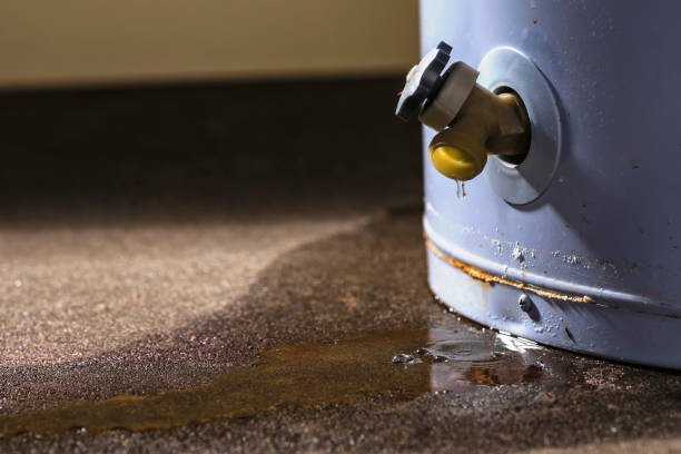 Best Ceiling water damage repair  in Church Hill, MD