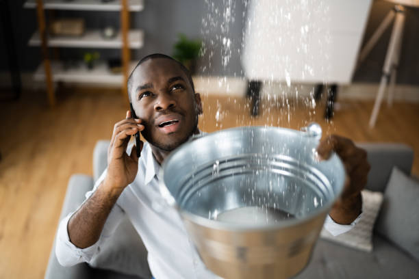 Best Flood damage cleanup  in Church Hill, MD
