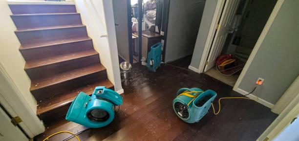 Best Water damage restoration near me  in Church Hill, MD