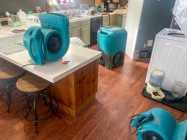 Best Water damage contractors near me  in Church Hill, MD