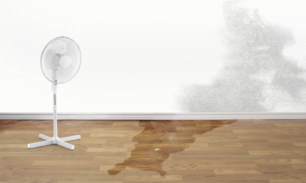 Best Water damage restoration company  in Church Hill, MD