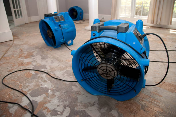 Best 24-hour water damage restoration  in Church Hill, MD