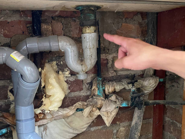 Best Basement water damage restoration  in Church Hill, MD