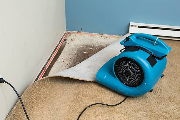 Best Water damage cleanup near me  in Church Hill, MD